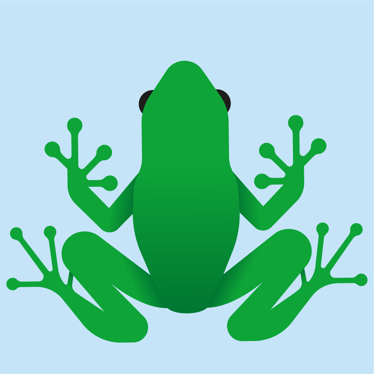 Imán Ranillas | Imán con ranas inspirado en la naturaleza